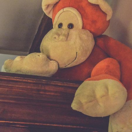 Edes Otthon Vendeghaz Hotell Nagyborzsony Exteriör bild
